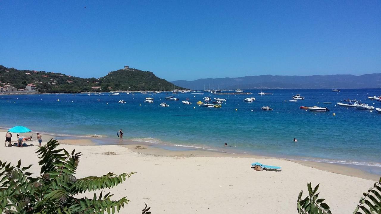 Corsica Monti Gite Appart Petreto-Bicchisano Exteriör bild